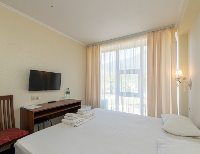 Эконом 2-местный 1-комнатный без балкона - Отель «Европа» Гагра