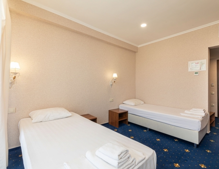 Стандарт 2-местный 1-комнатный TWIN вид на горы /сад - Отель «Европа» Гагра