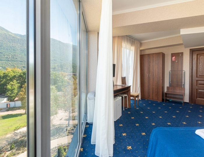 Стандарт 2-местный 1-комнатный TWIN вид на горы /сад - Отель «Европа» Гагра